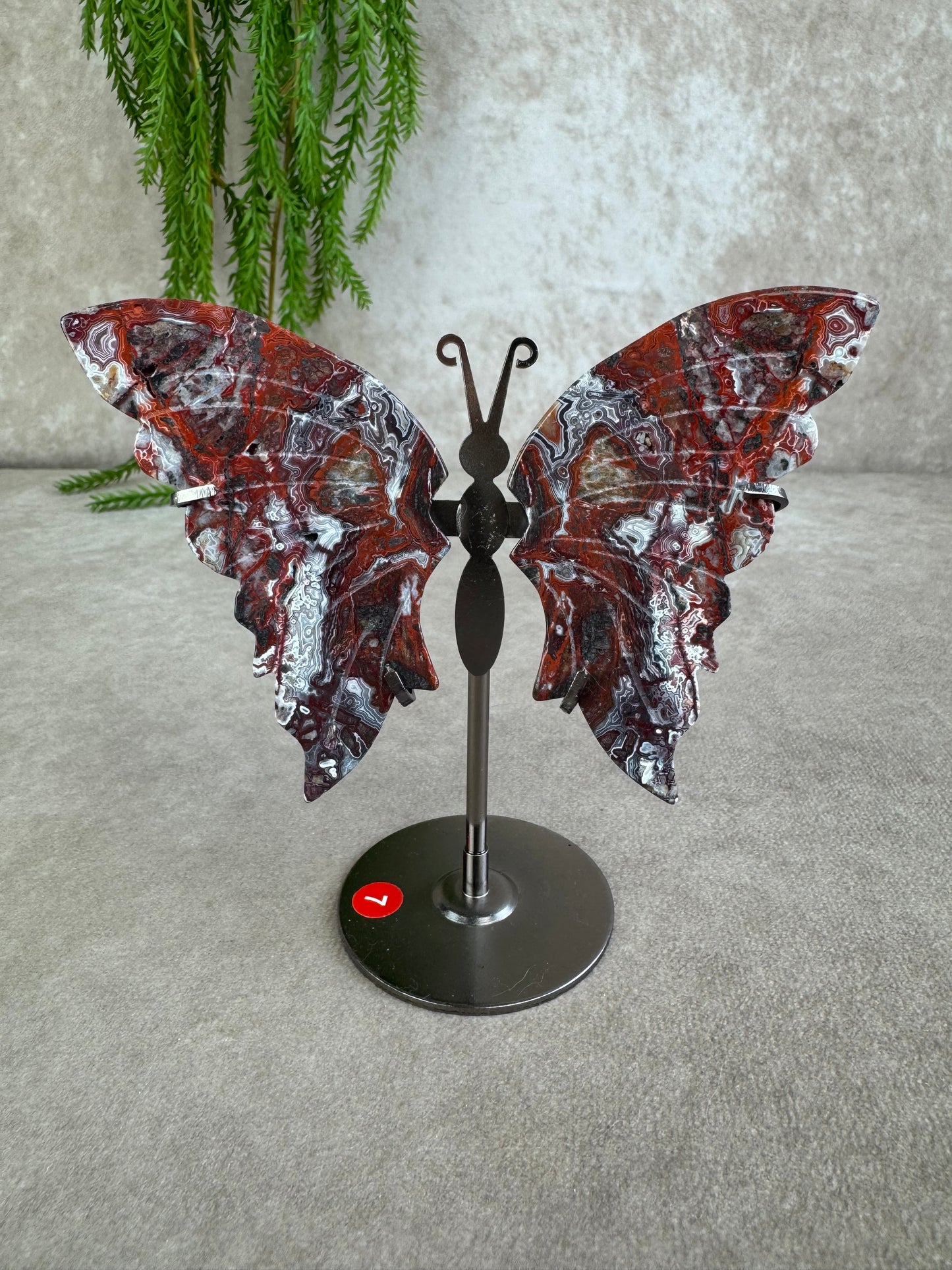 Vlinder crazy lace agaat #7