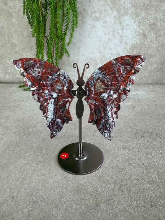 Vlinder crazy lace agaat #7