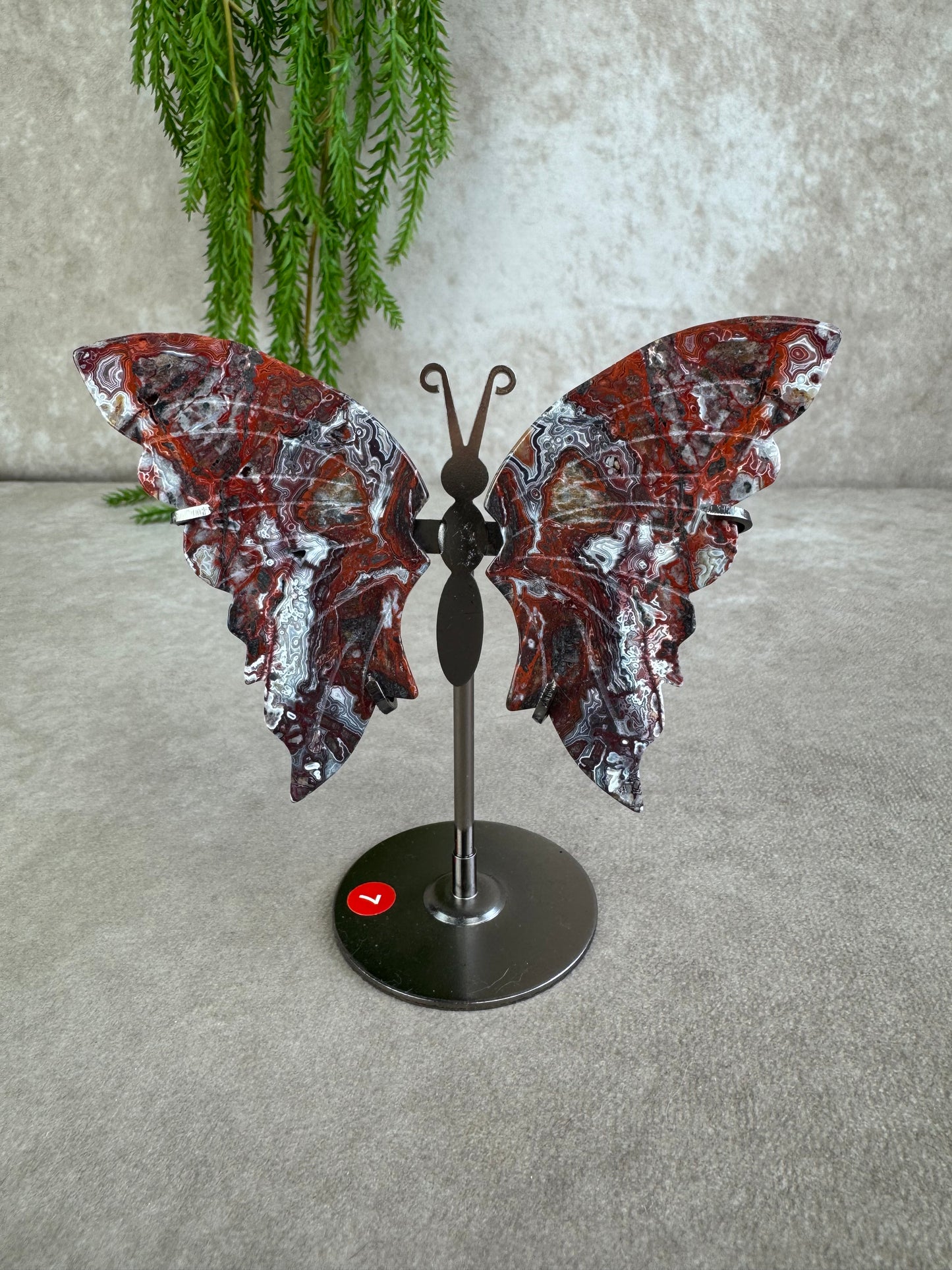 Vlinder crazy lace agaat #7