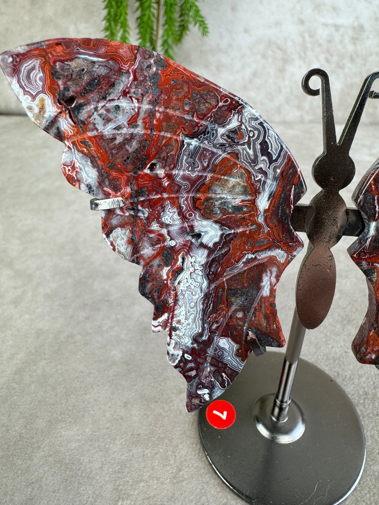 Vlinder crazy lace agaat #7