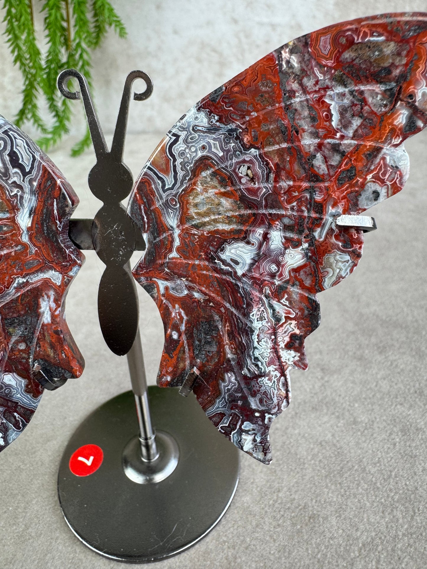 Vlinder crazy lace agaat #7