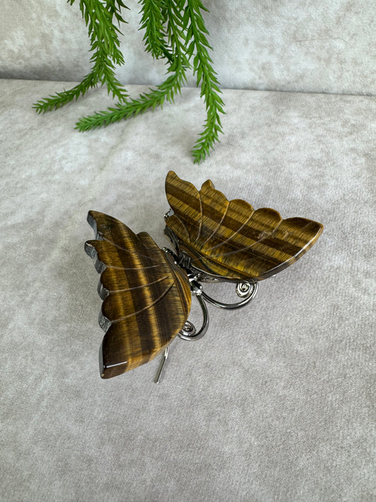 Vlinder Tijgeroog #1