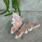 Roze agaat vlinder #6