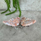 Roze agaat vlinder #6