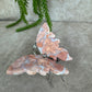 Roze agaat vlinder #6