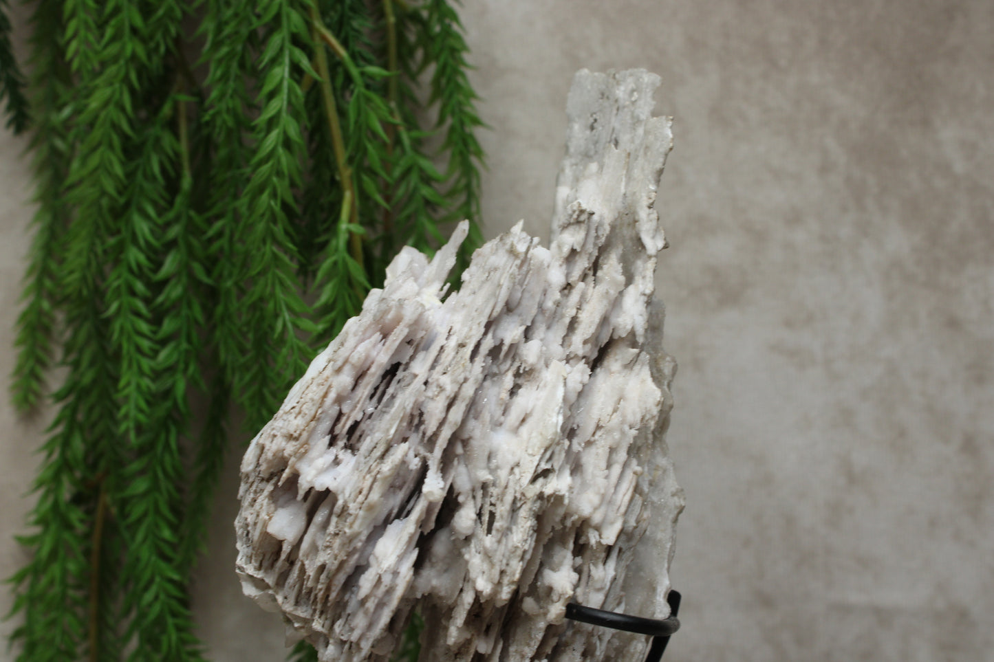 Zeoliet op standaard #0326