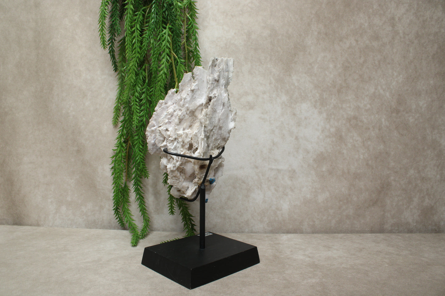 Zeoliet op standaard #0326