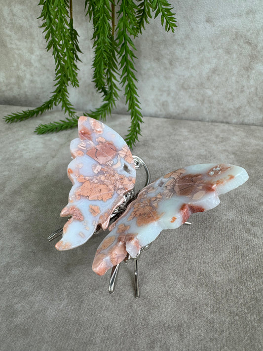 Roze agaat vlinder #2