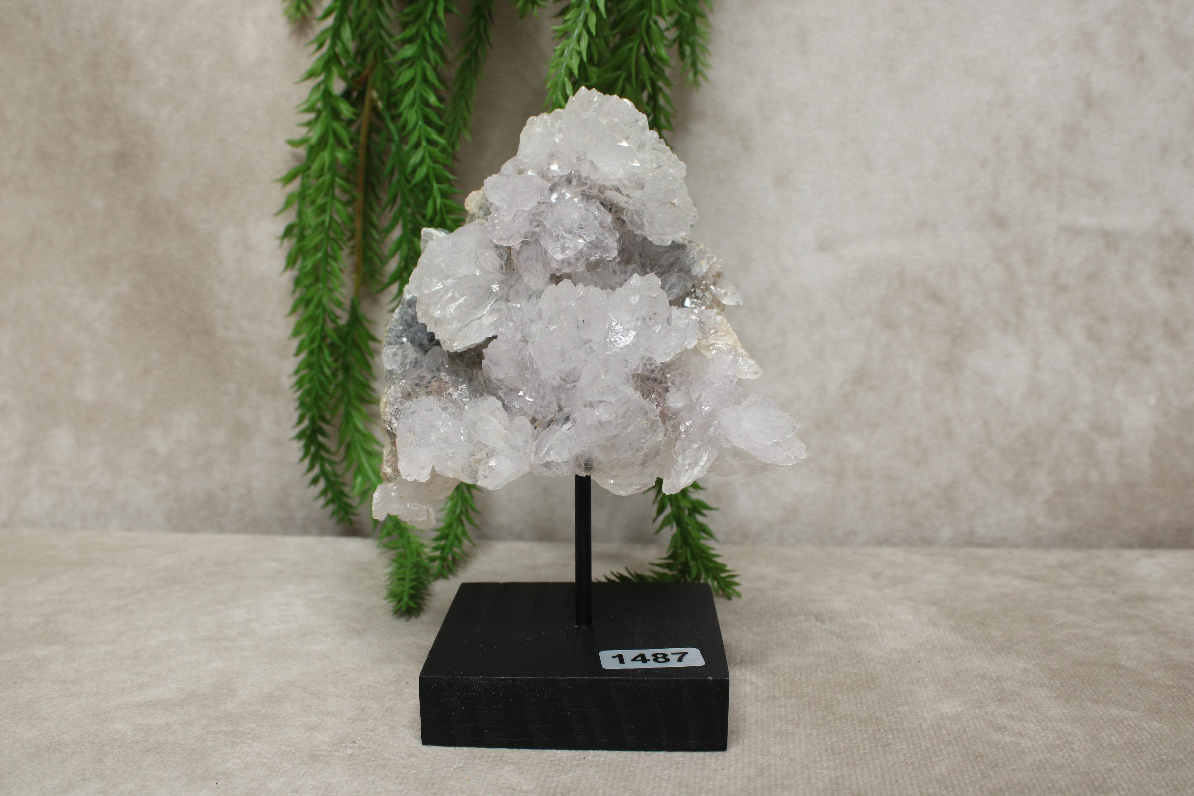 Flower amethist #1487