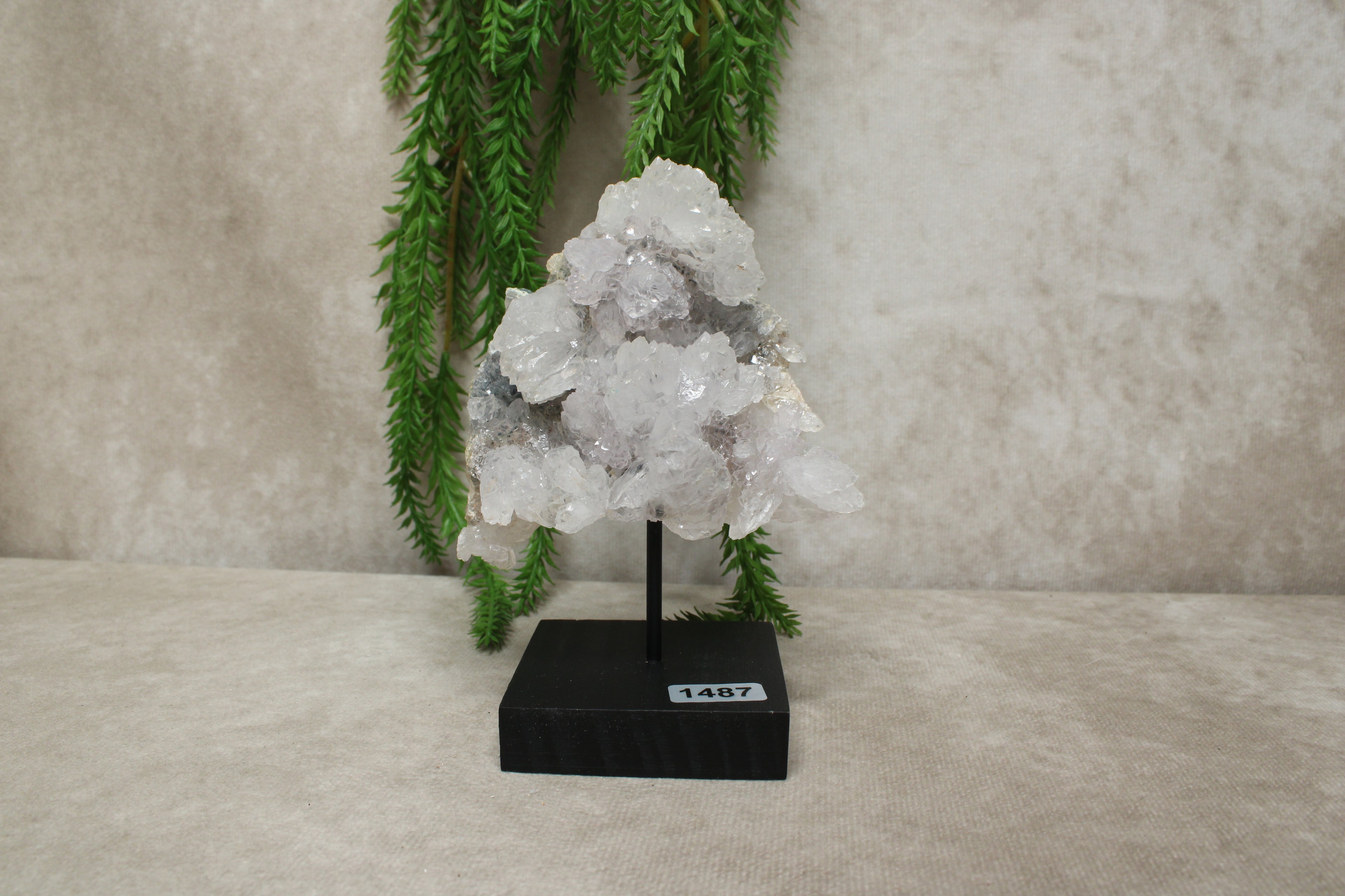 Flower amethist #1487