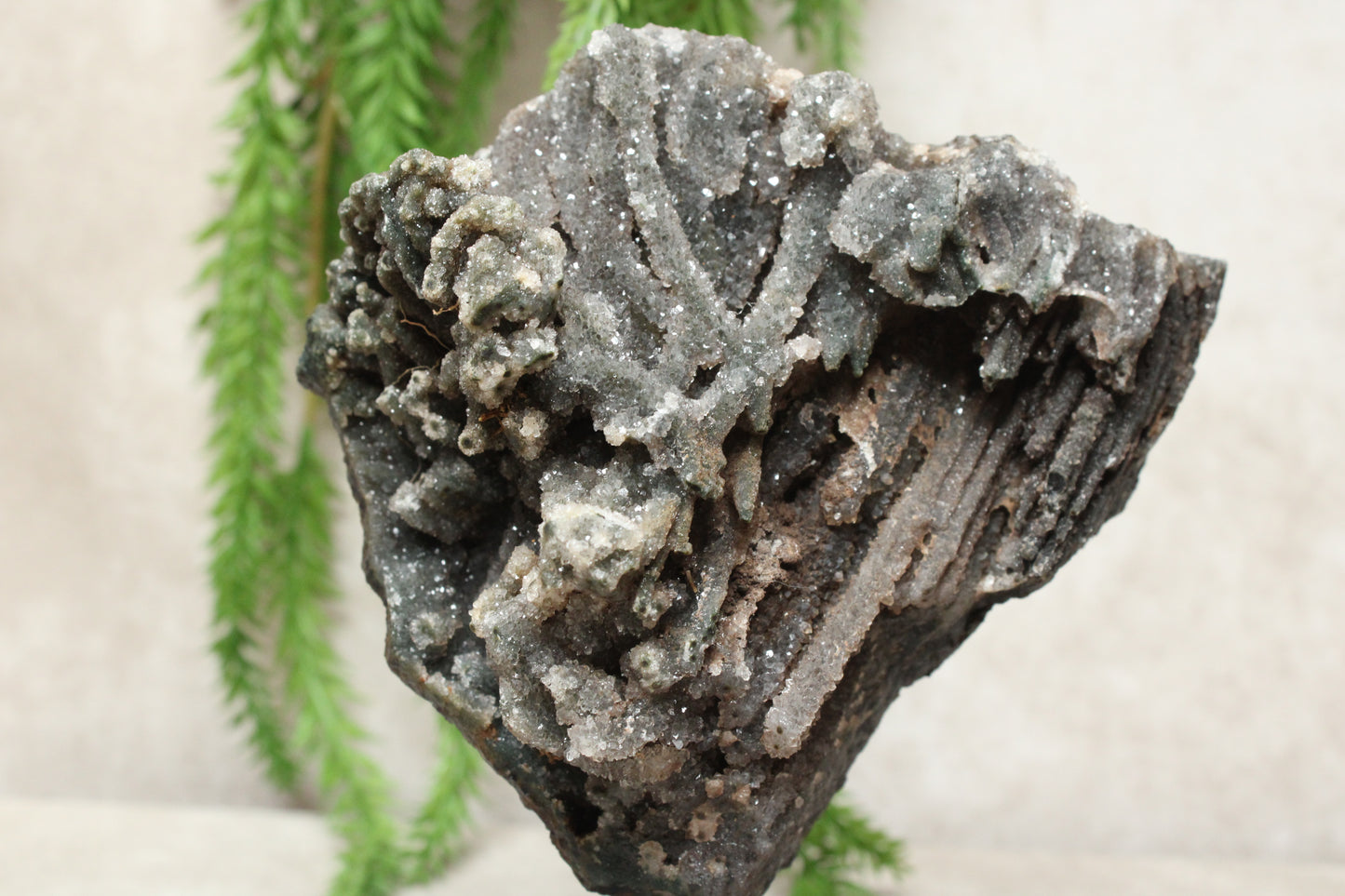 Chalcedoon op standaard #1273