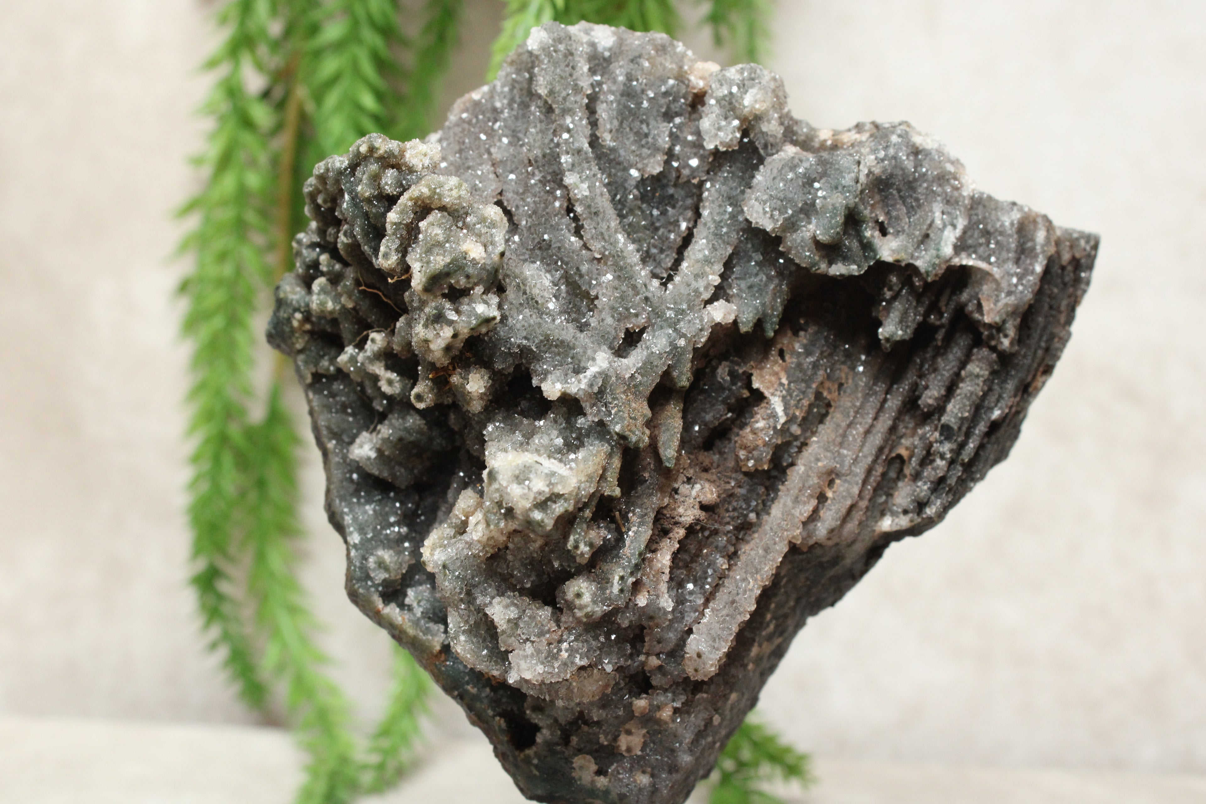 Chalcedoon op standaard #1273