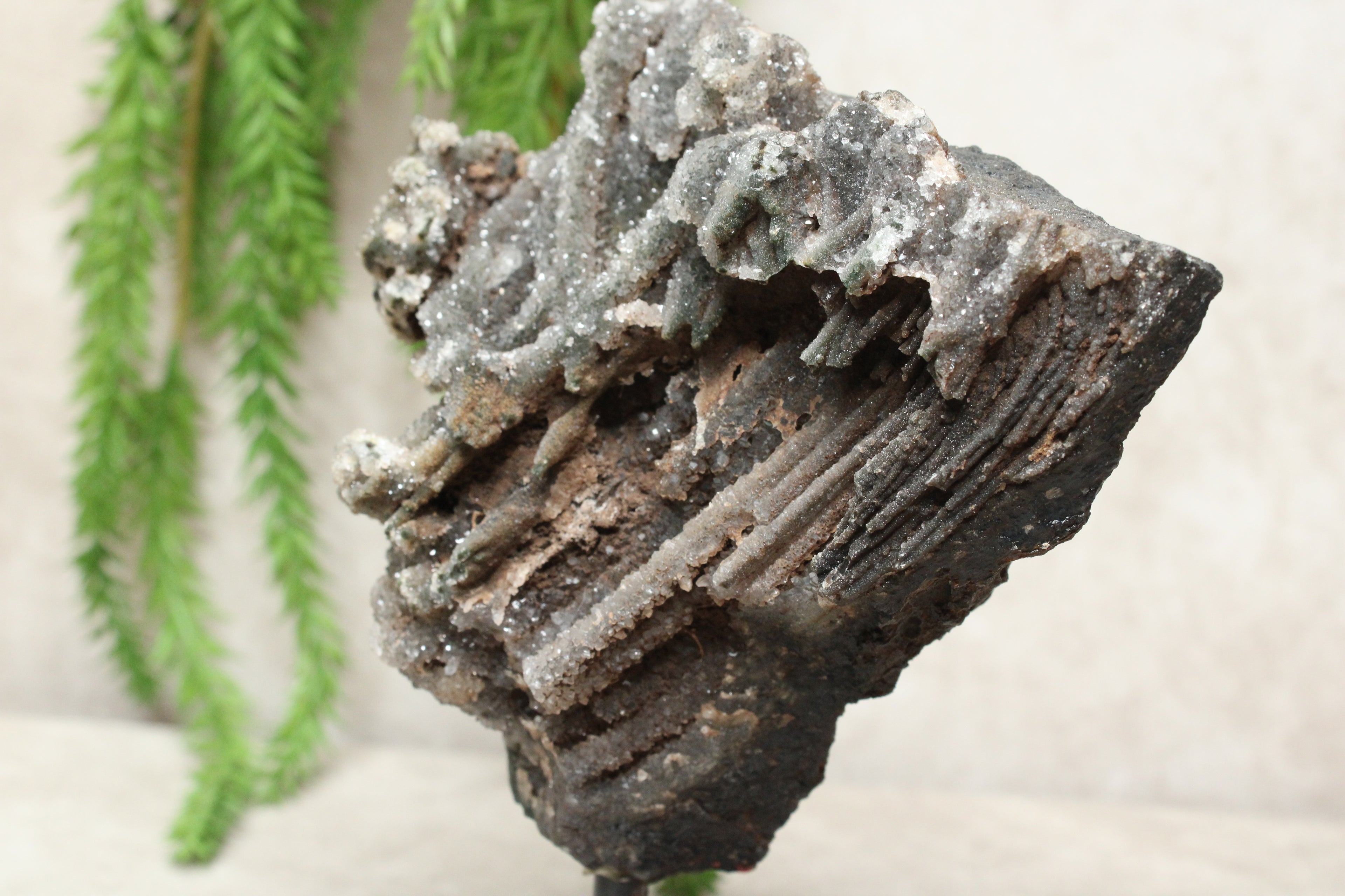 Chalcedoon op standaard #1273