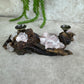 Bolhouder rozenkwarts hout