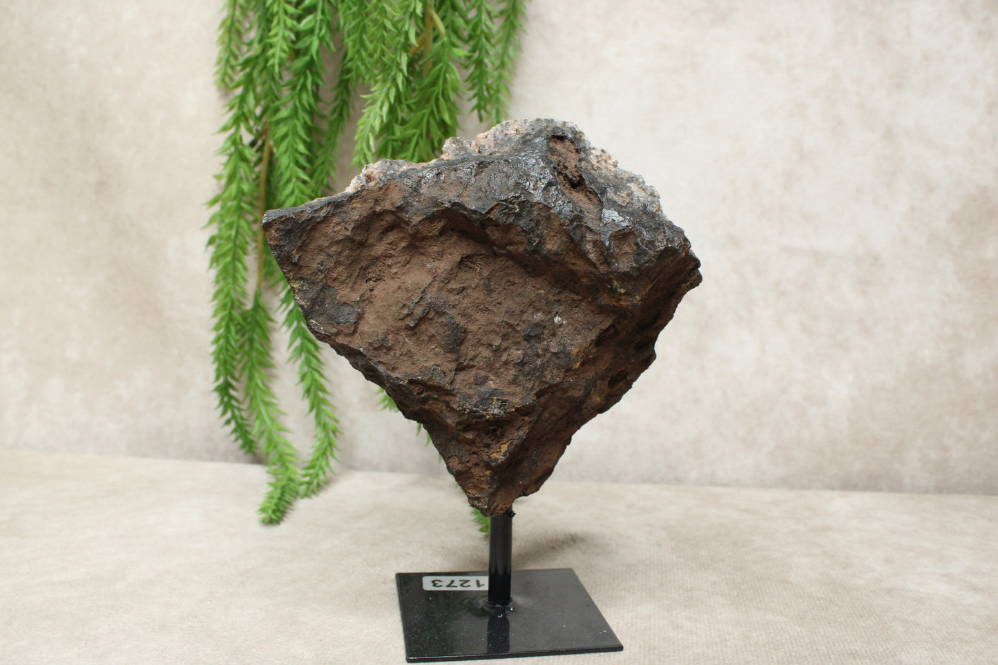 Chalcedoon op standaard #1273