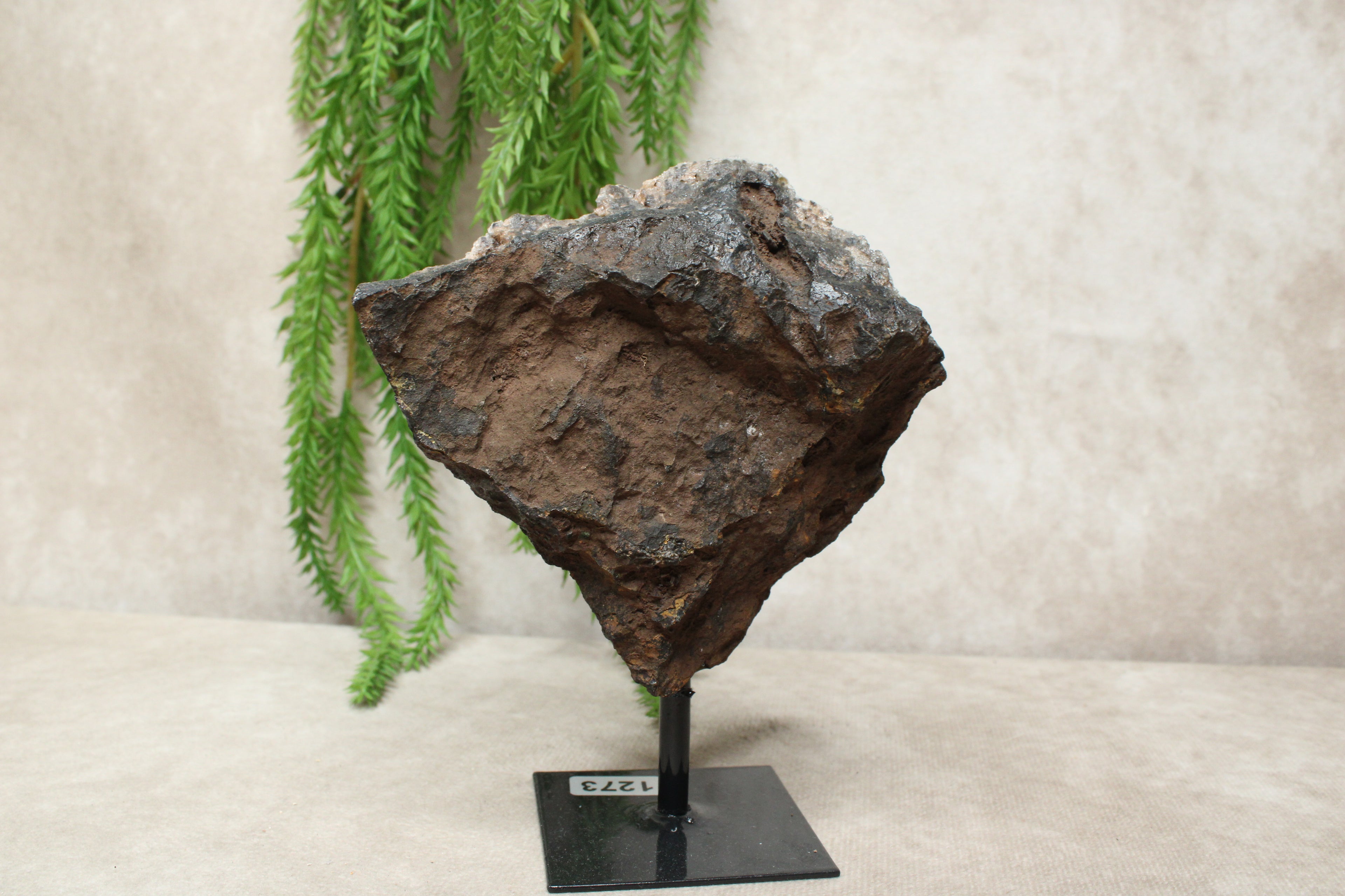 Chalcedoon op standaard #1273