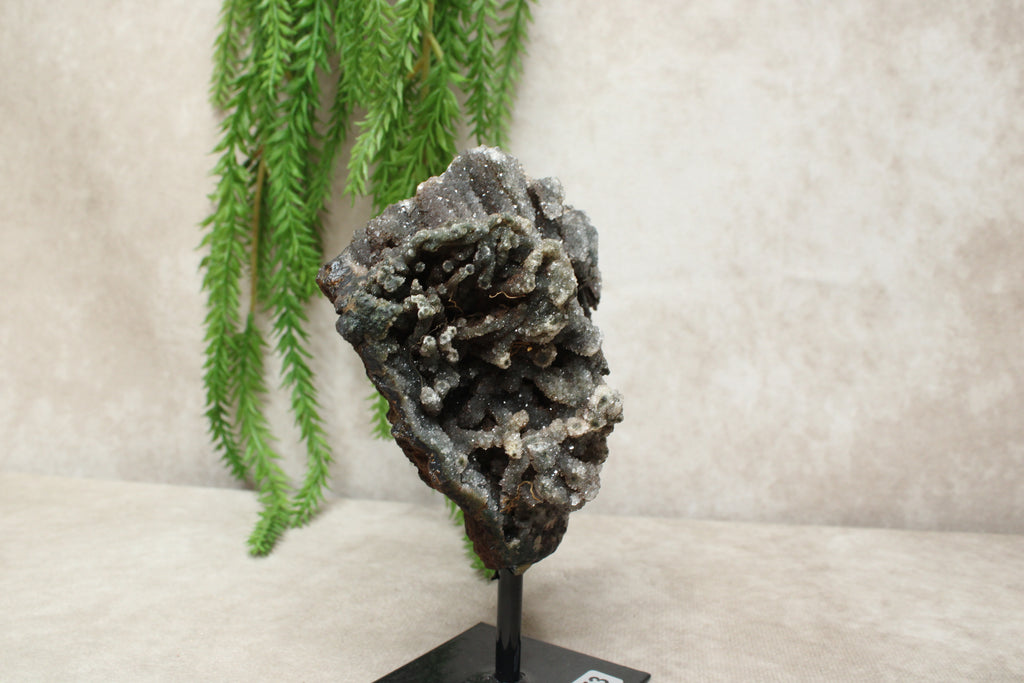 Chalcedoon op standaard #1273