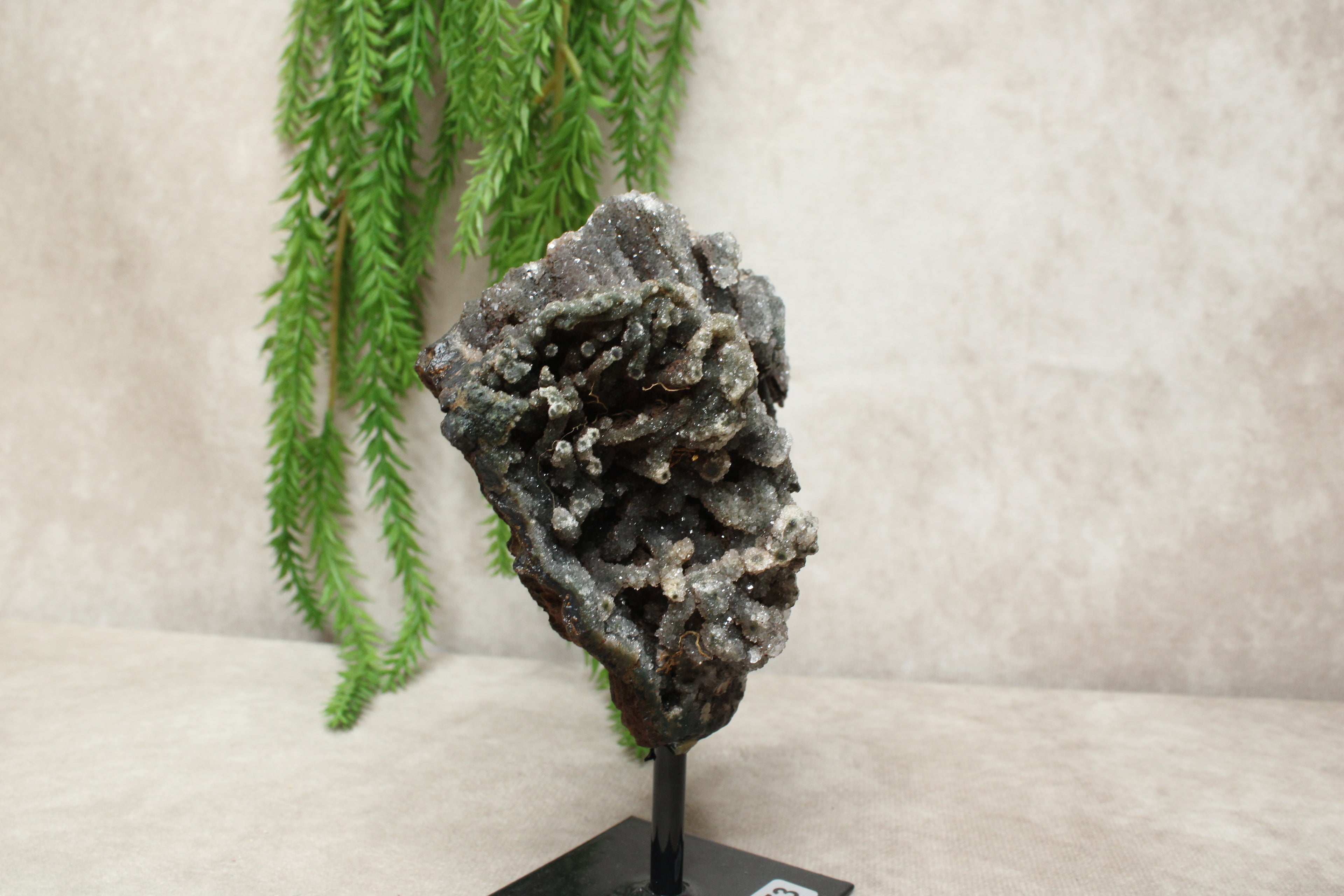 Chalcedoon op standaard #1273