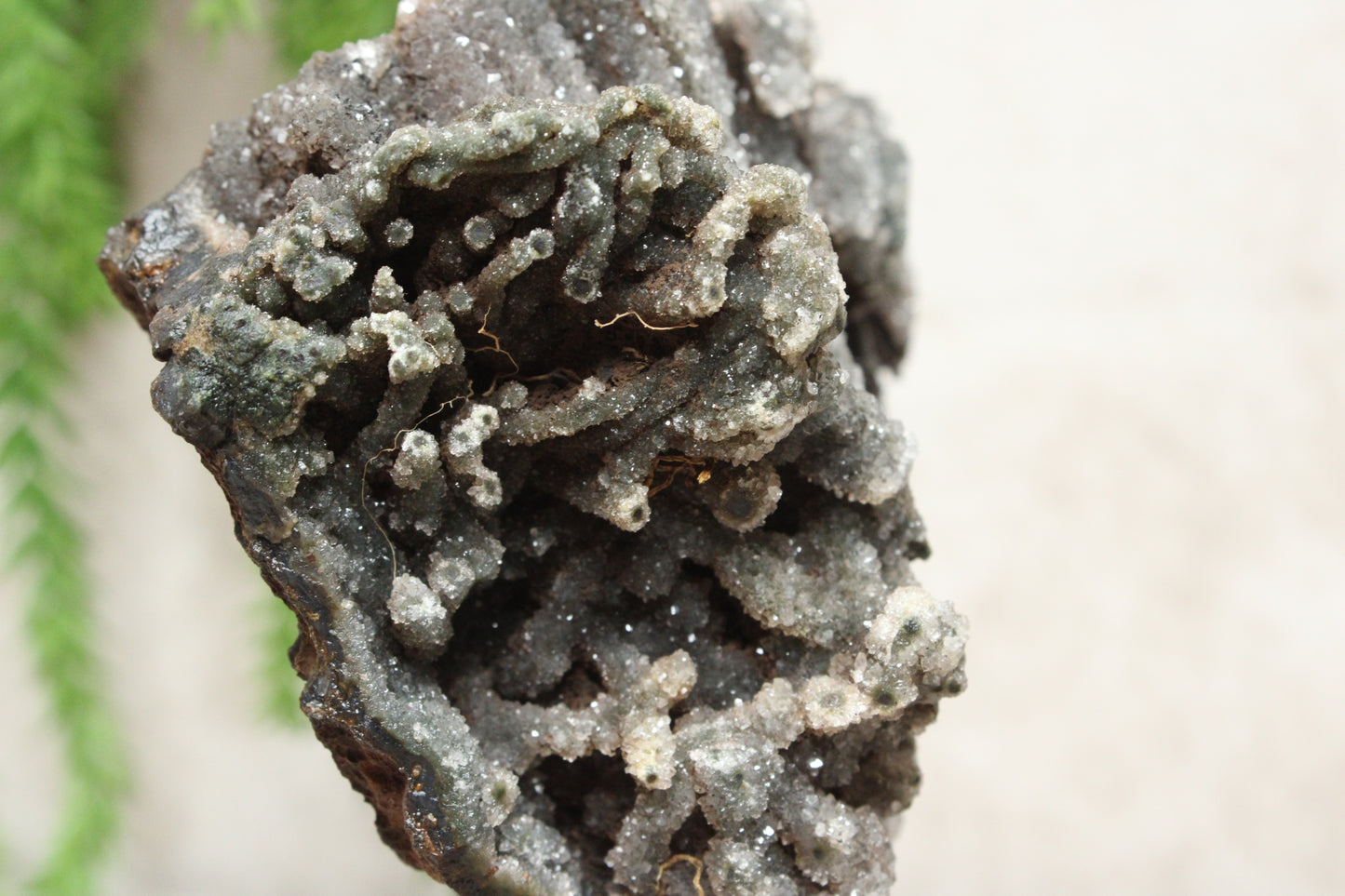 Chalcedoon op standaard #1273