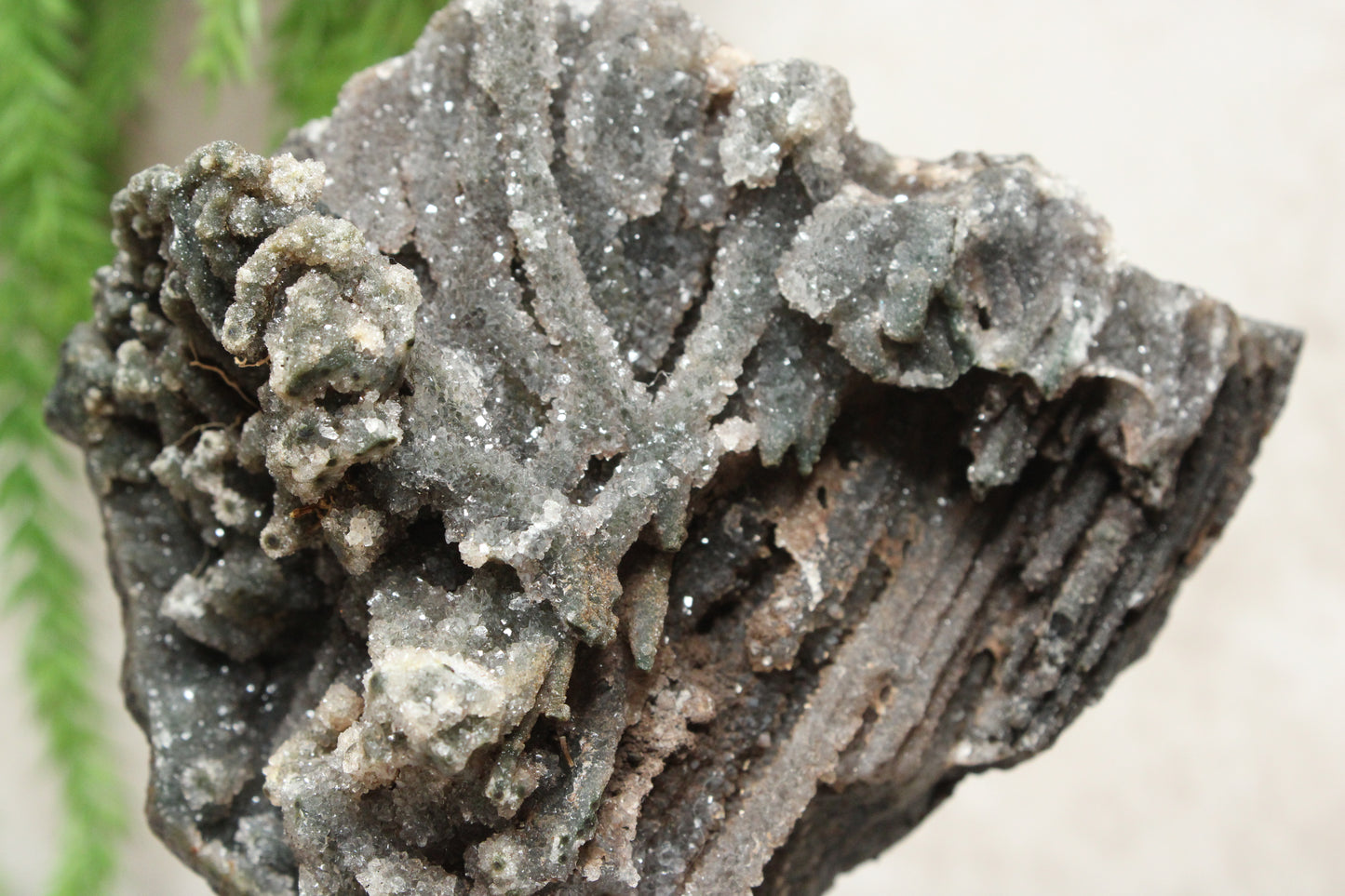 Chalcedoon op standaard #1273