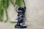 Tom & Jerry meerdere steensoorten