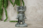 Tom & Jerry meerdere steensoorten