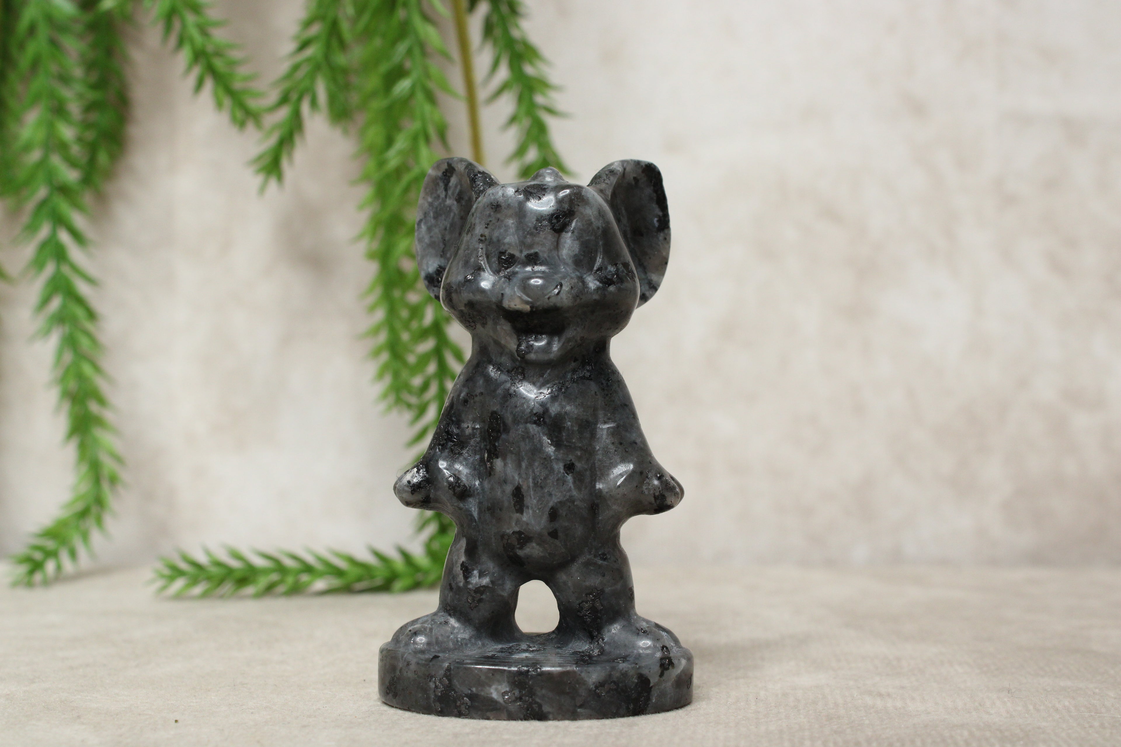 Tom & Jerry meerdere steensoorten