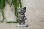 Tom & Jerry meerdere steensoorten