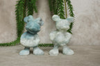 Micky en mini Caribian bleu calciet