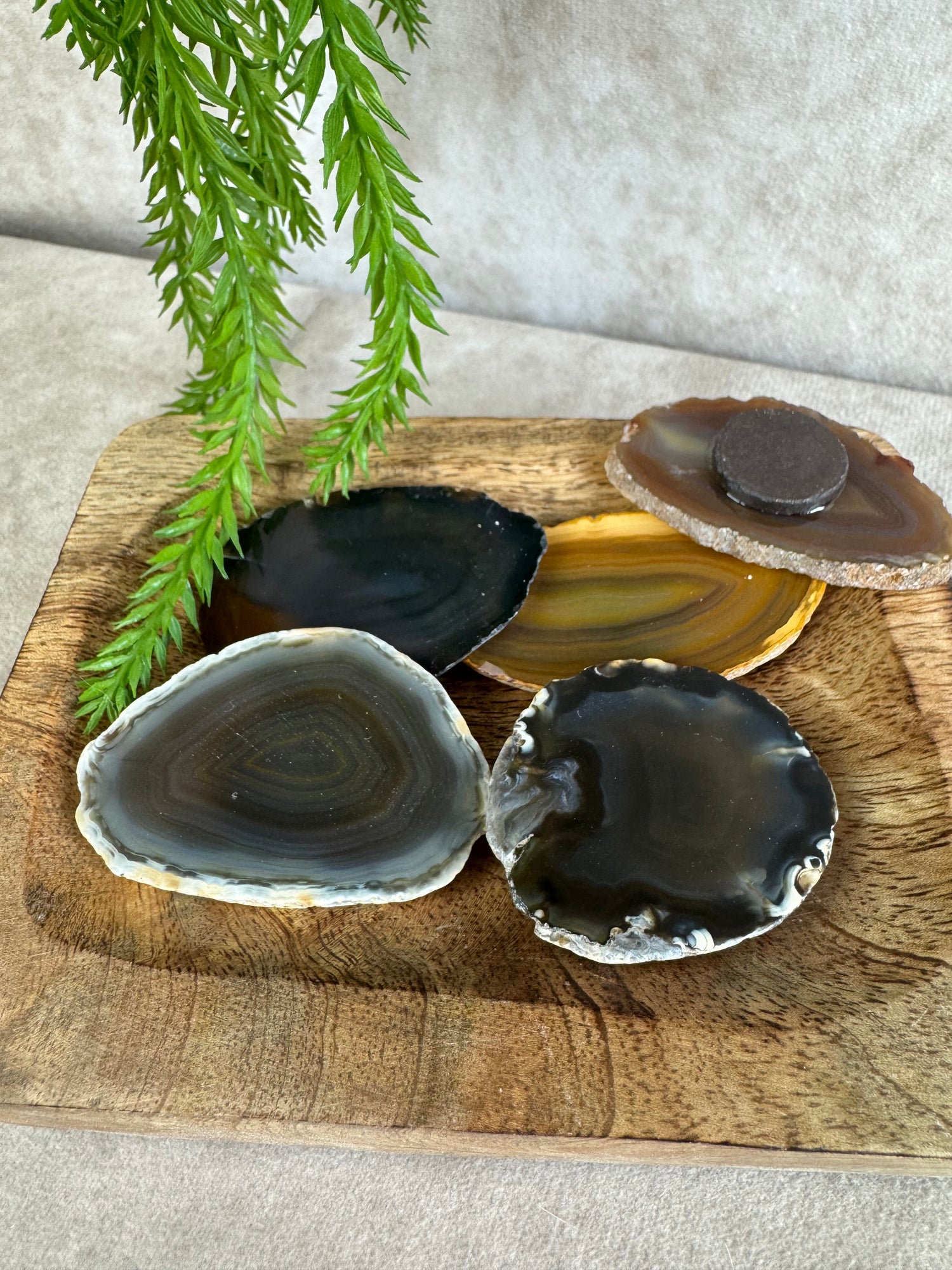 Cadeau tips, schelpen & uiterlijk