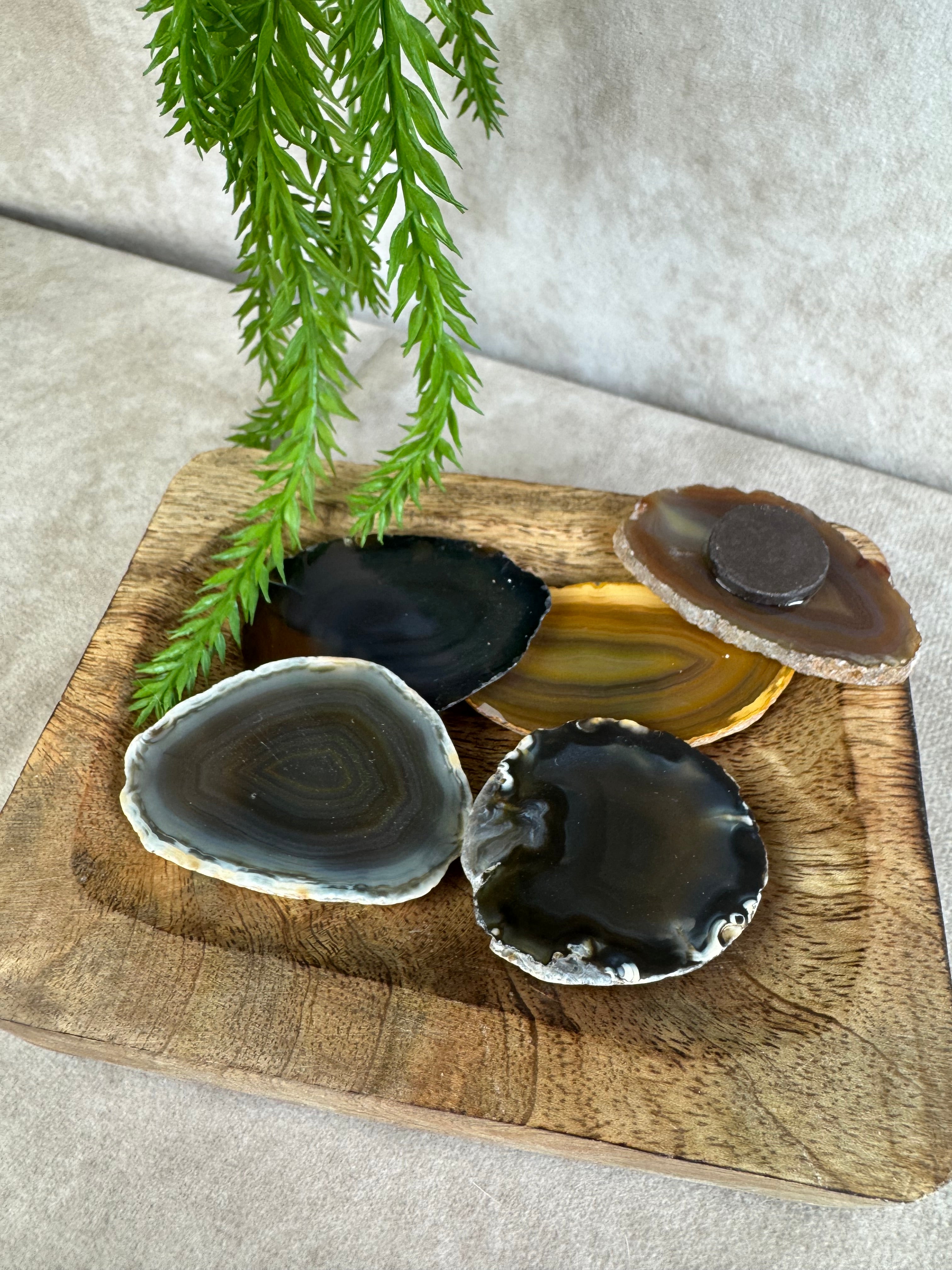 Agaat schijf magneet