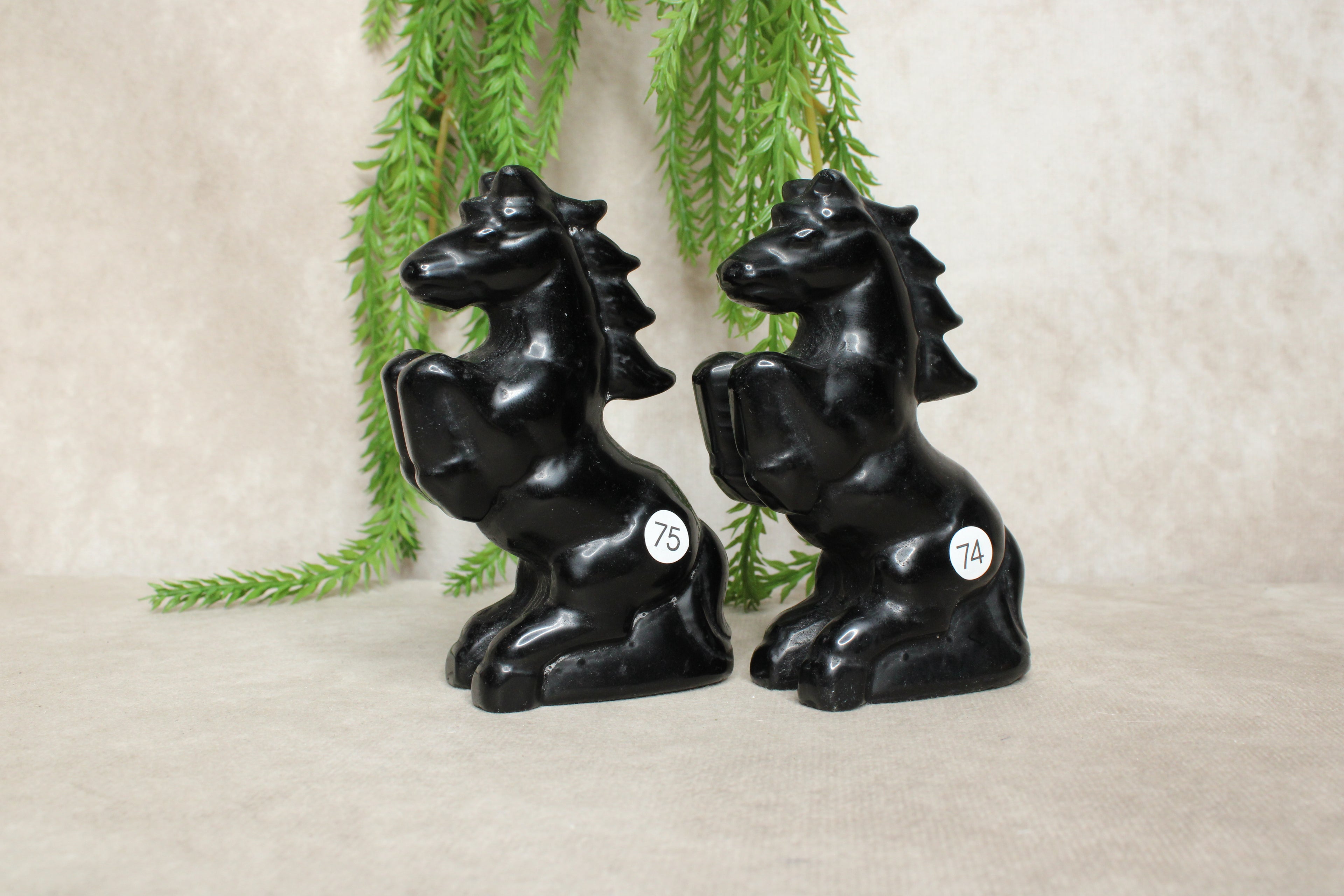 Paarden groot meerdere