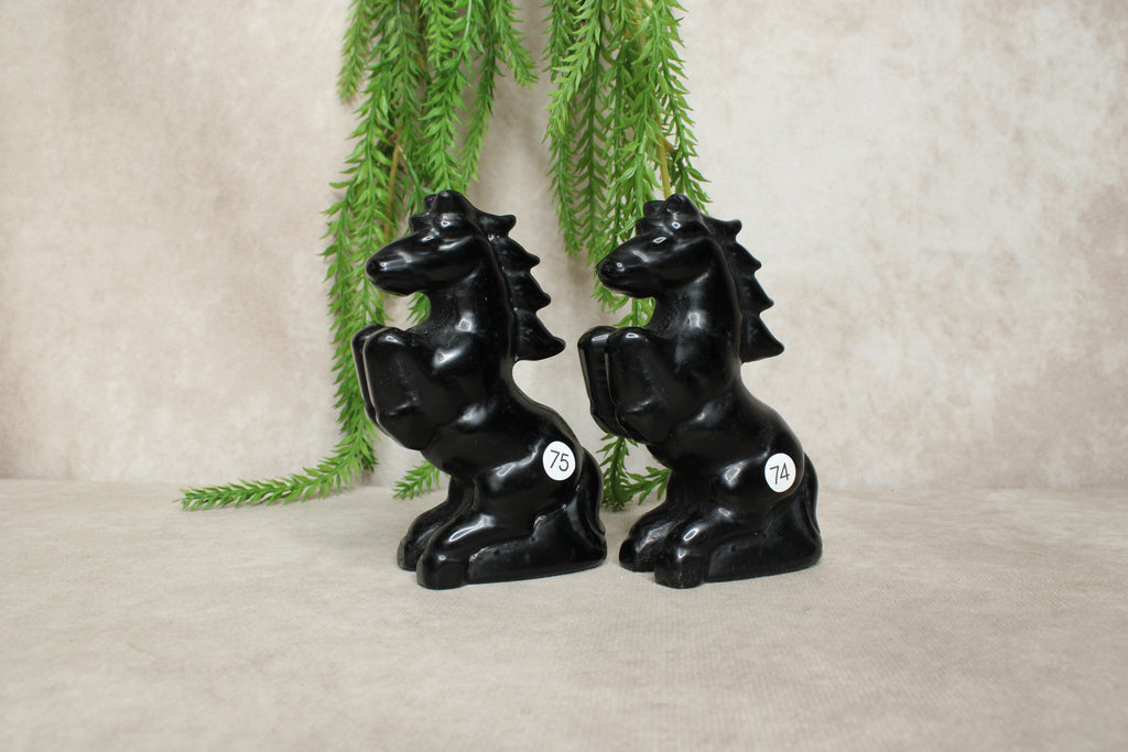 Paarden groot meerdere