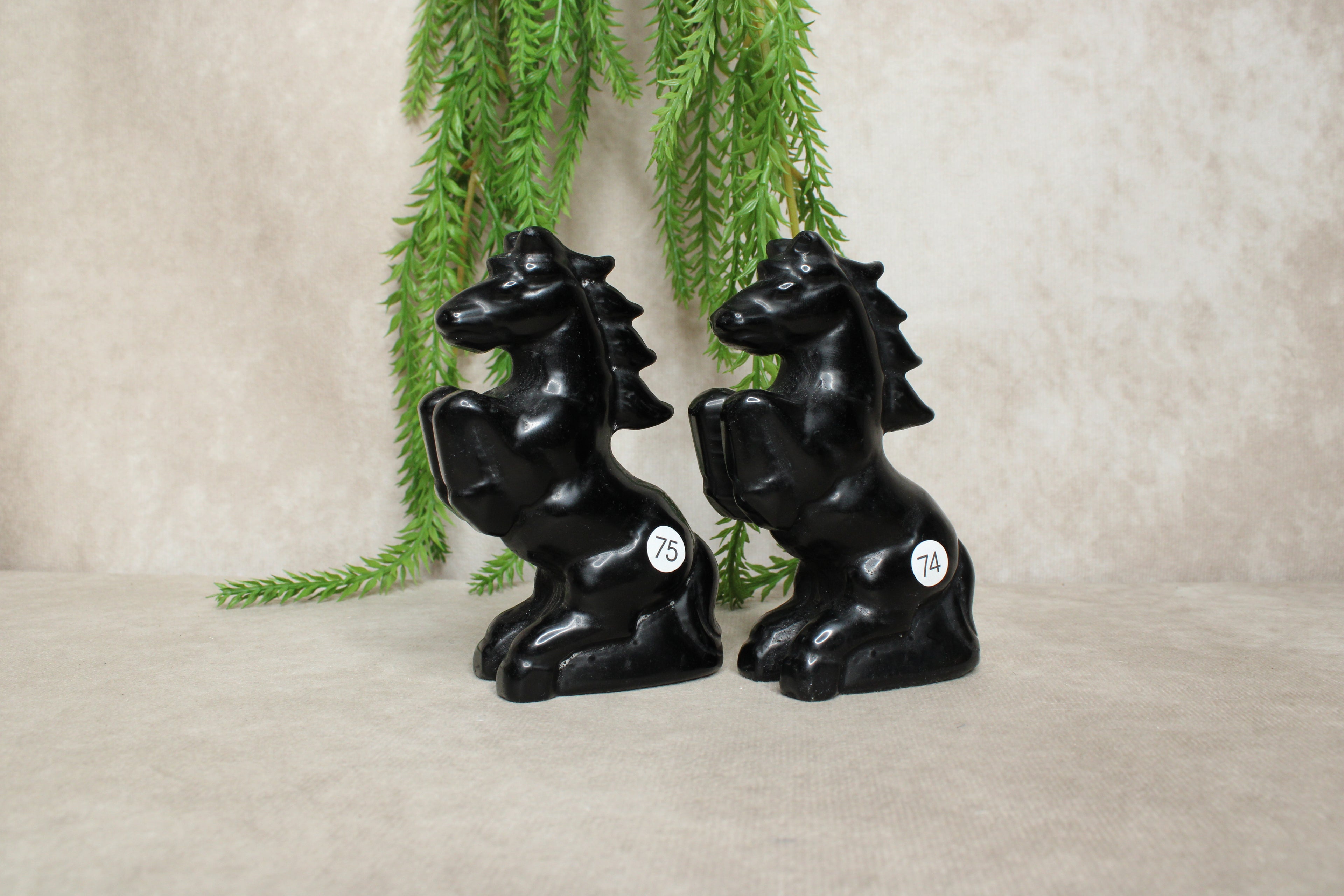Paarden groot meerdere
