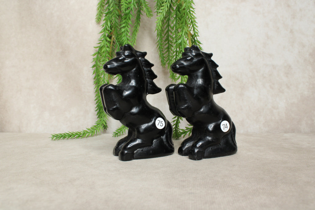 Paarden groot meerdere