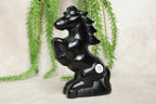 Paarden groot meerdere