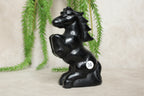 Paarden groot meerdere