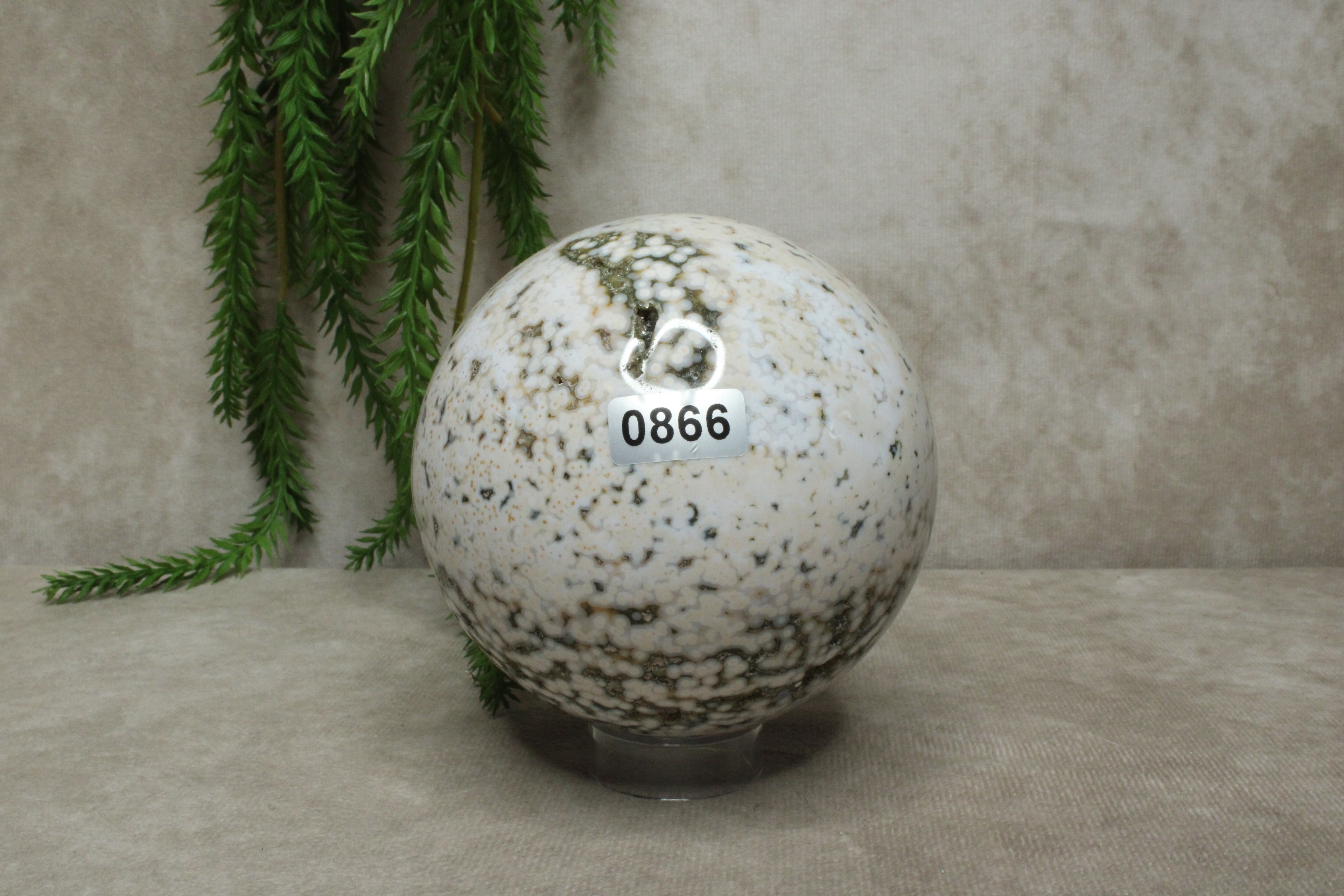 Oceaan jaspis bol  #0866