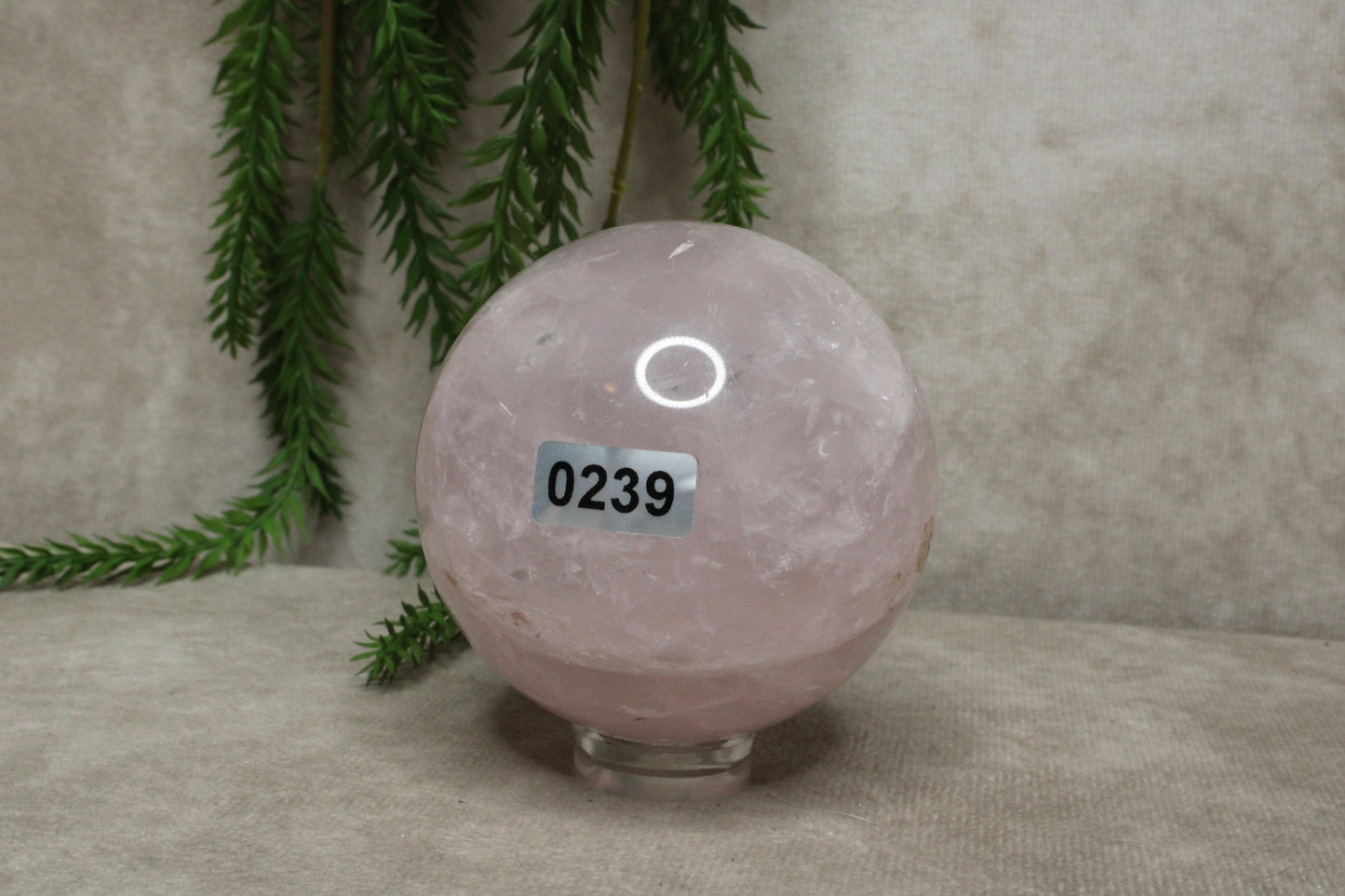 Rozenkwarts bol  #0239