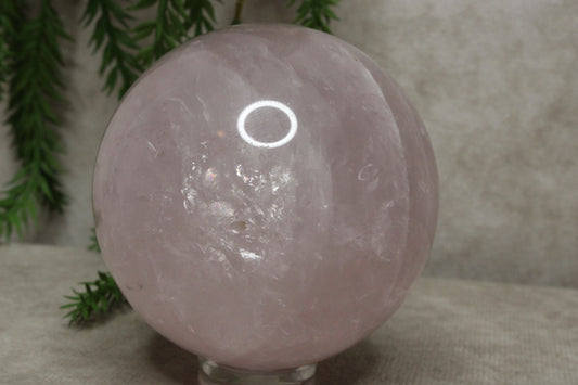 Rozenkwarts bol #0239