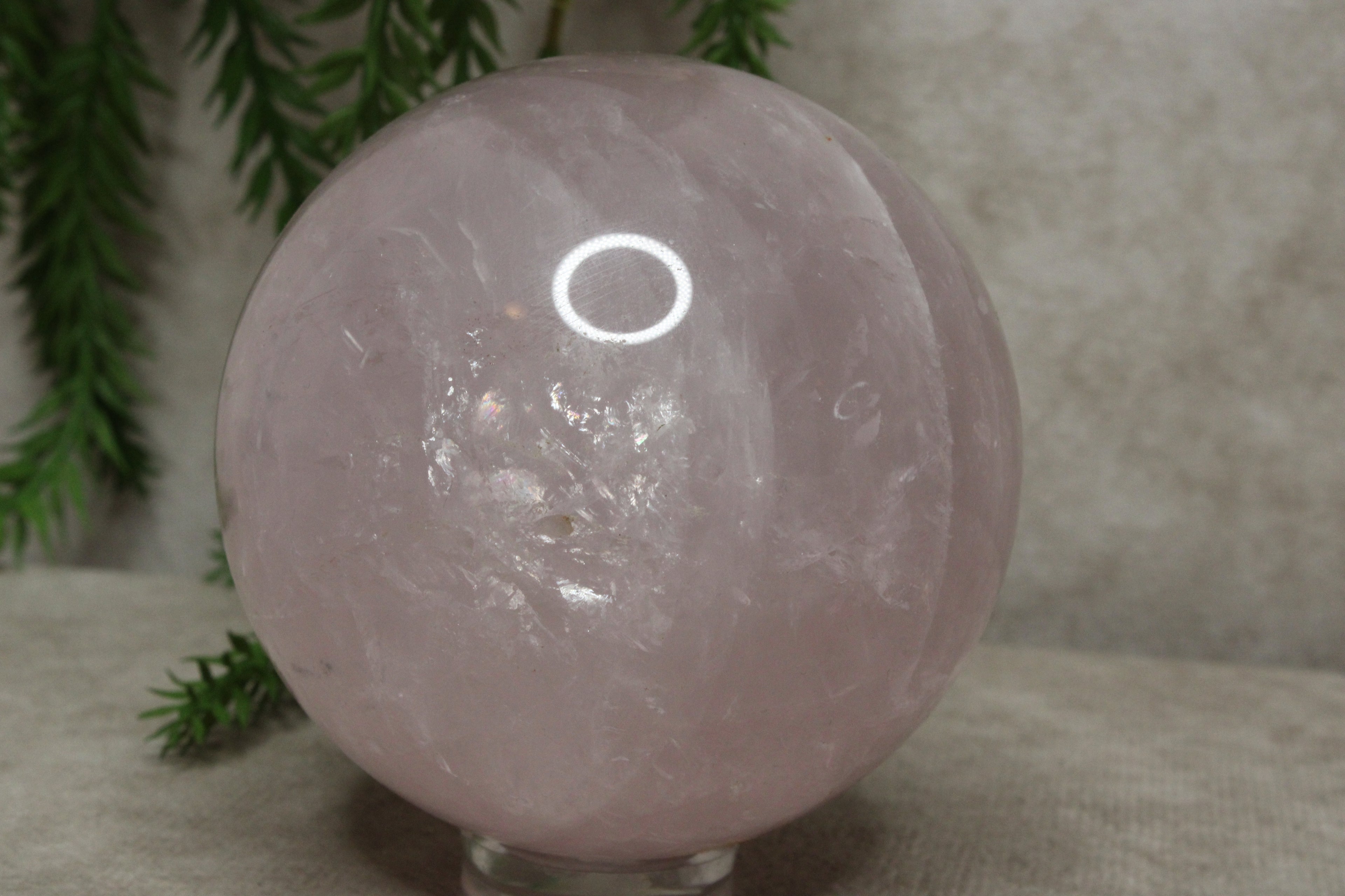 Rozenkwarts bol  #0239