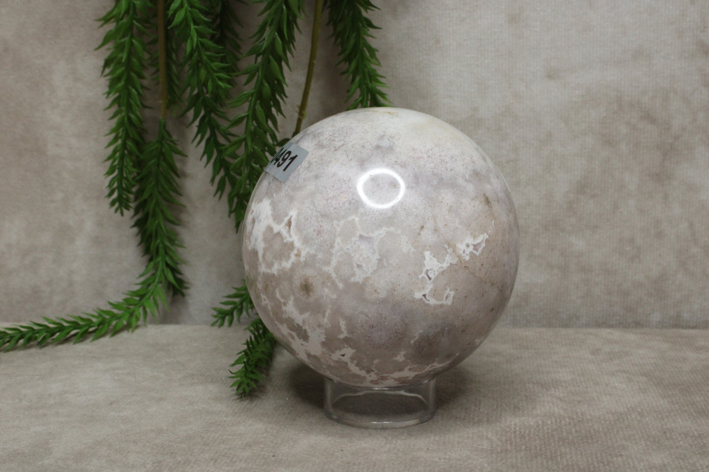 Bloemagaat bol #0491