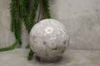 Bloemagaat bol #0491