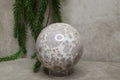 Bloemagaat bol #0491