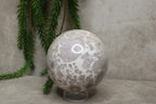 Bloemagaat bol #0491