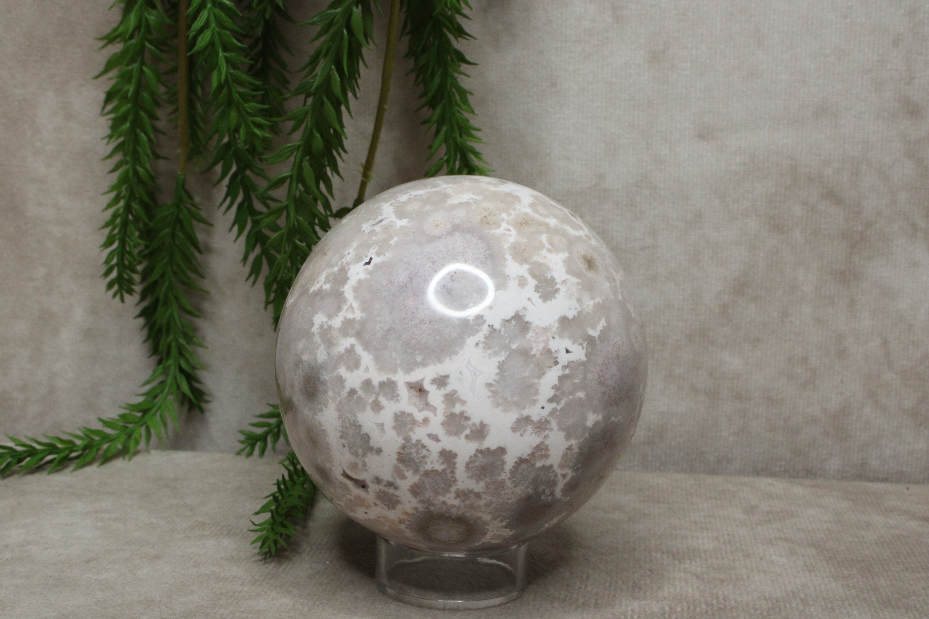 Bloemagaat bol #0491