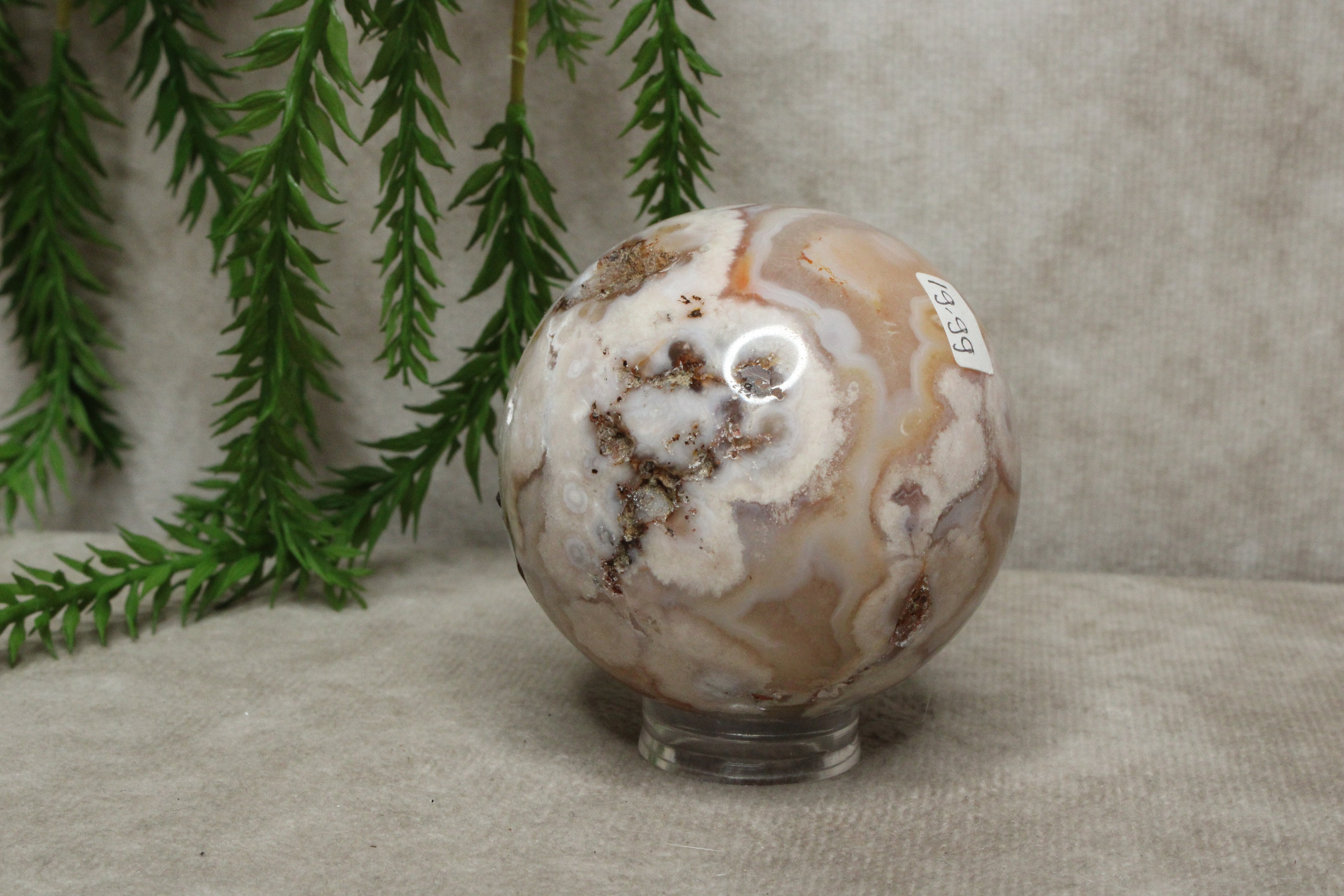 Bloemagaat bol #0618