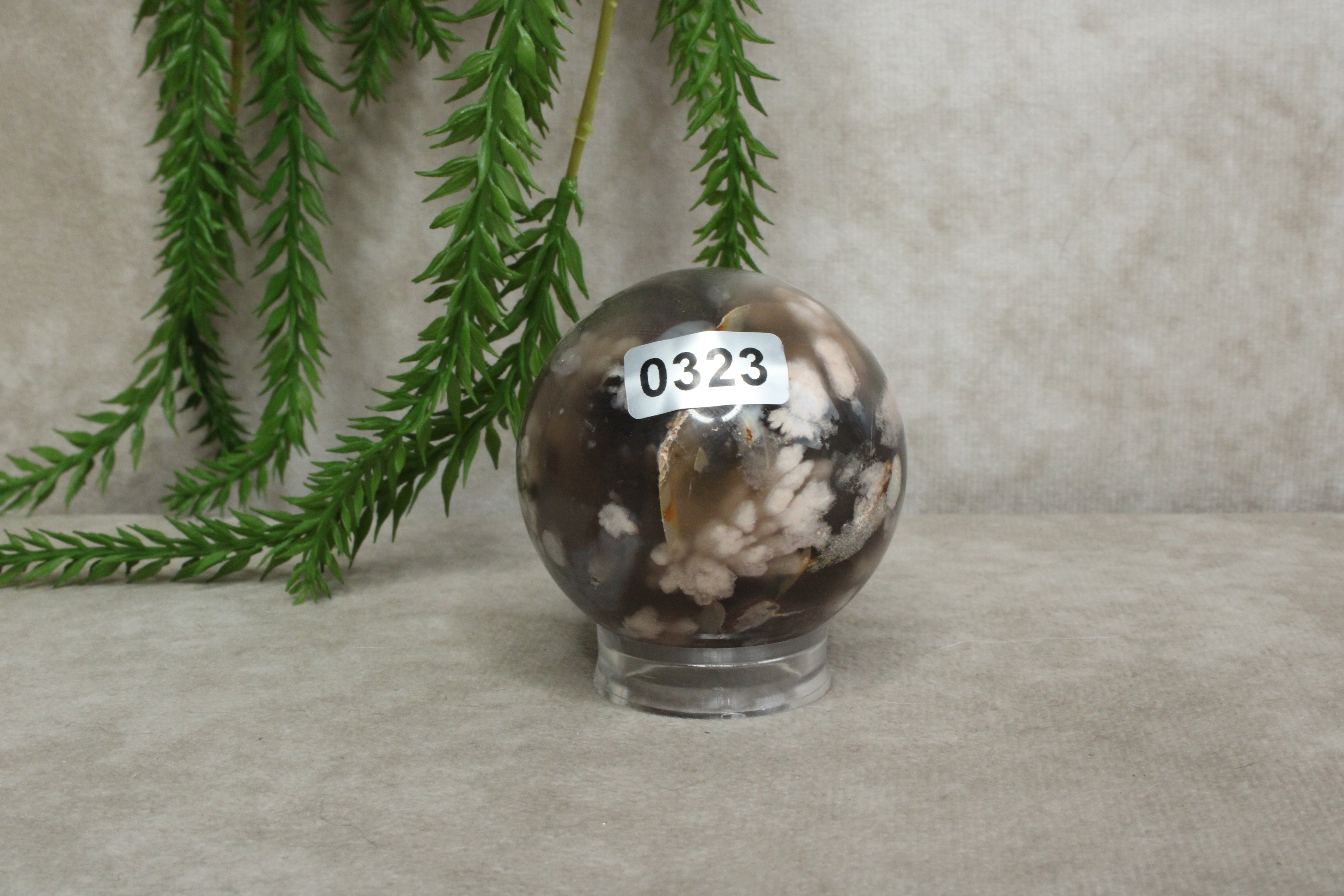 Bloemagaat bol #0323