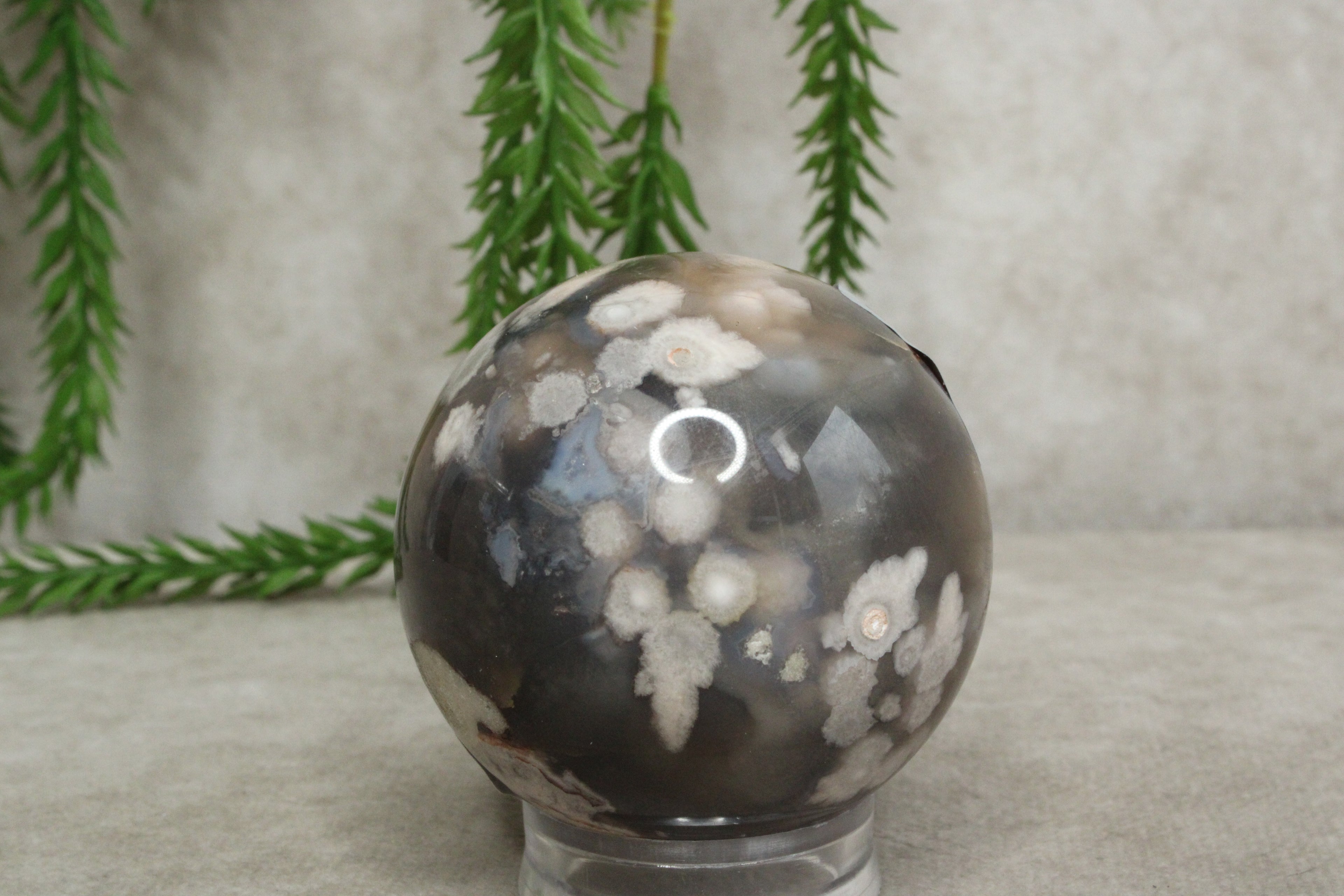 Bloemagaat bol #0323