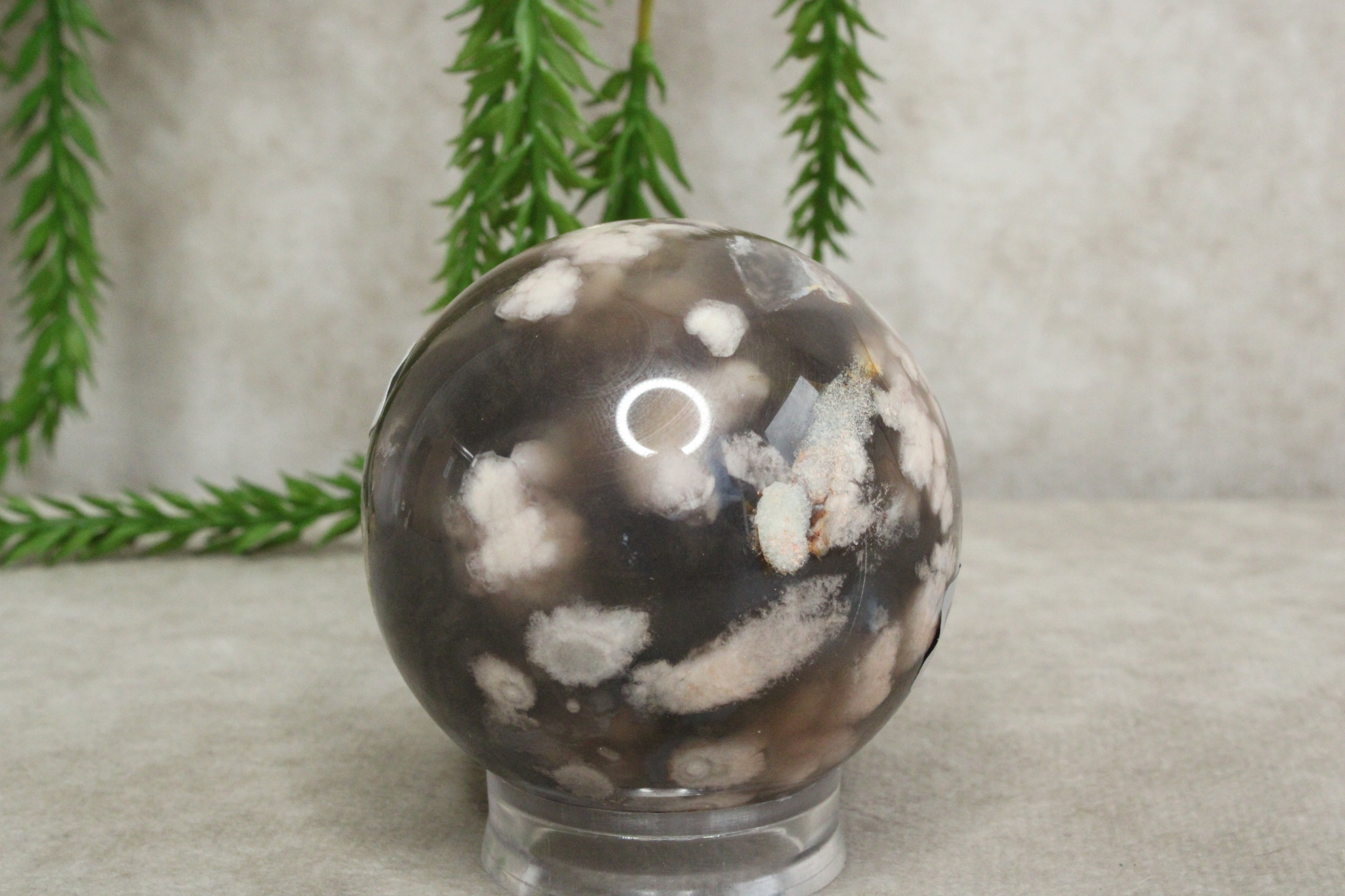 Bloemagaat bol #0323